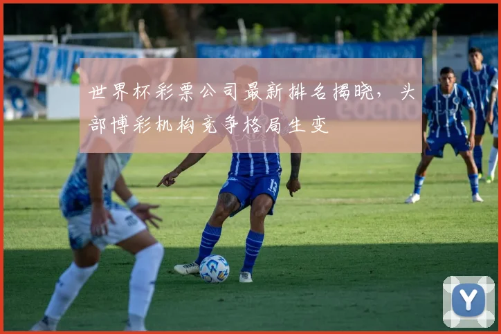 世界杯彩票公司最新排名揭晓，头部博彩机构竞争格局生变