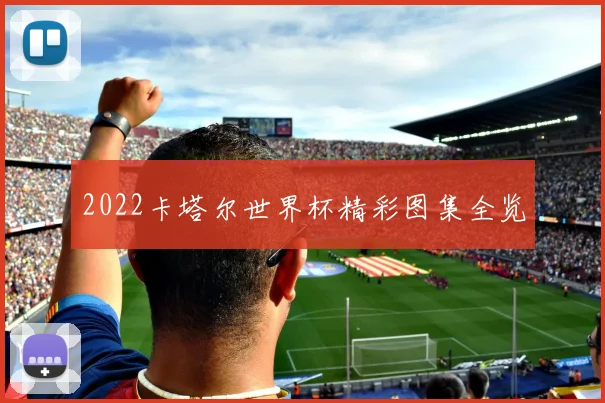 2022卡塔尔世界杯精彩图集全览