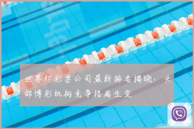 世界杯彩票公司最新排名揭晓,头部博彩机构竞争格局生变