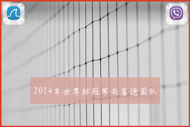 2014年世界杯冠军花落德国队